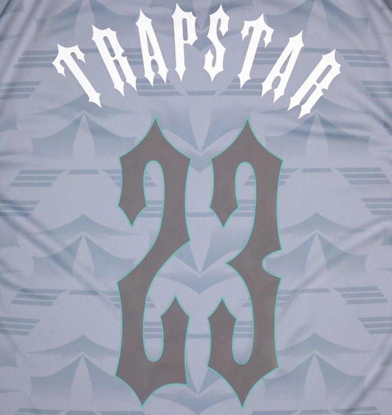 Men's Trapstar *PRE ORDER* Irongate T Shirts Grey / Blue | USA-436718