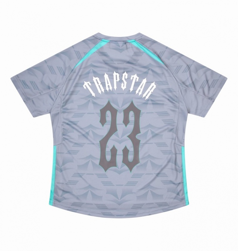 Men\'s Trapstar *PRE ORDER* Irongate T Shirts Grey / Blue | USA-436718